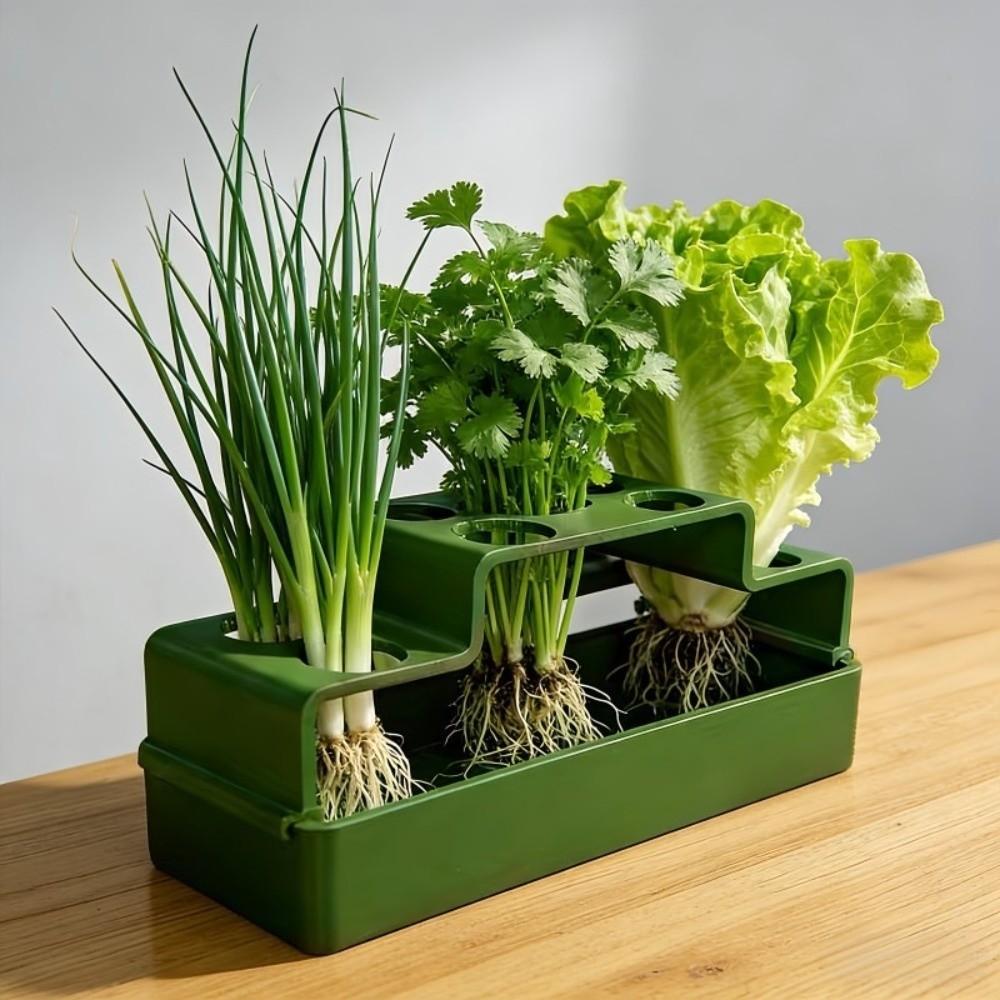 Plastic Chives Seedling Tray Ventilated Lettuce Chives Hydroponic Planter Celery Coriander Water Cultivation Box Plant