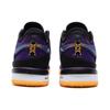 Nike Увеличить Мужские кроссовки LeBron NXXT Gen EP Lakers Purple Court-Purple Black DR8788-500