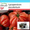Подарочный набор - Помидоры - Costoluto Genovese - 10 семян - С подарочной коробкой, карточкой, этикеткой и субстратом для горшков - Lycopersicon esculentum