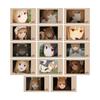 TV Anime and Merchant Meets the Wise Trading Holo Instant Camera Style Illustration Cards of "Spice Wolf Wolf" (Box 14)
