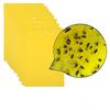 20Pcs Strong  Traps  Sticky Board Catching Aphid  Pest
