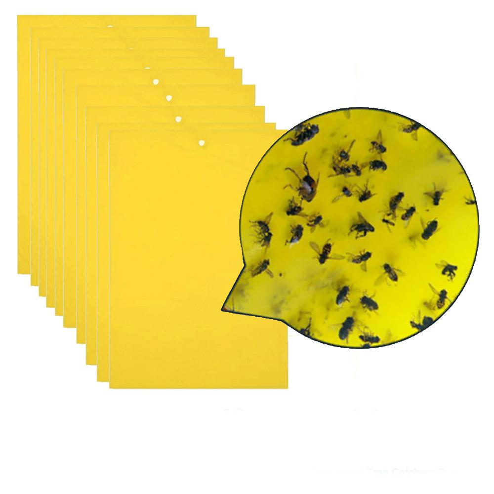 20Pcs Strong Traps Sticky Board Catching Aphid Pest