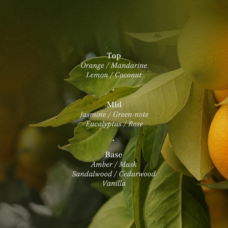 [Lador] Парфюмированный набор для ухода за волосами 380 мл