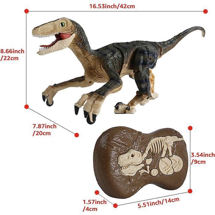 Jouet Dinosaure télécommandé Rechargeable pour et Enfants, 5 Canaux 2.4G pour Garçon Filles, électroniques RC Vélociraptor de Marche