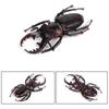 Realistic Beetle Action Figures Wild Insect Lifelike Insect Figurines  Desktop Ornament