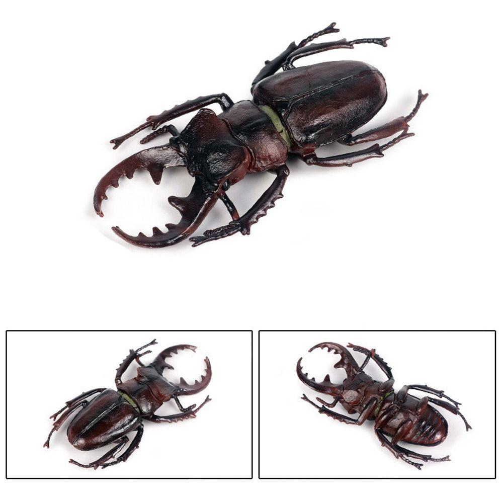 Realistic Beetle Action Figures Wild Insect Lifelike Insect Figurines Desktop Ornament