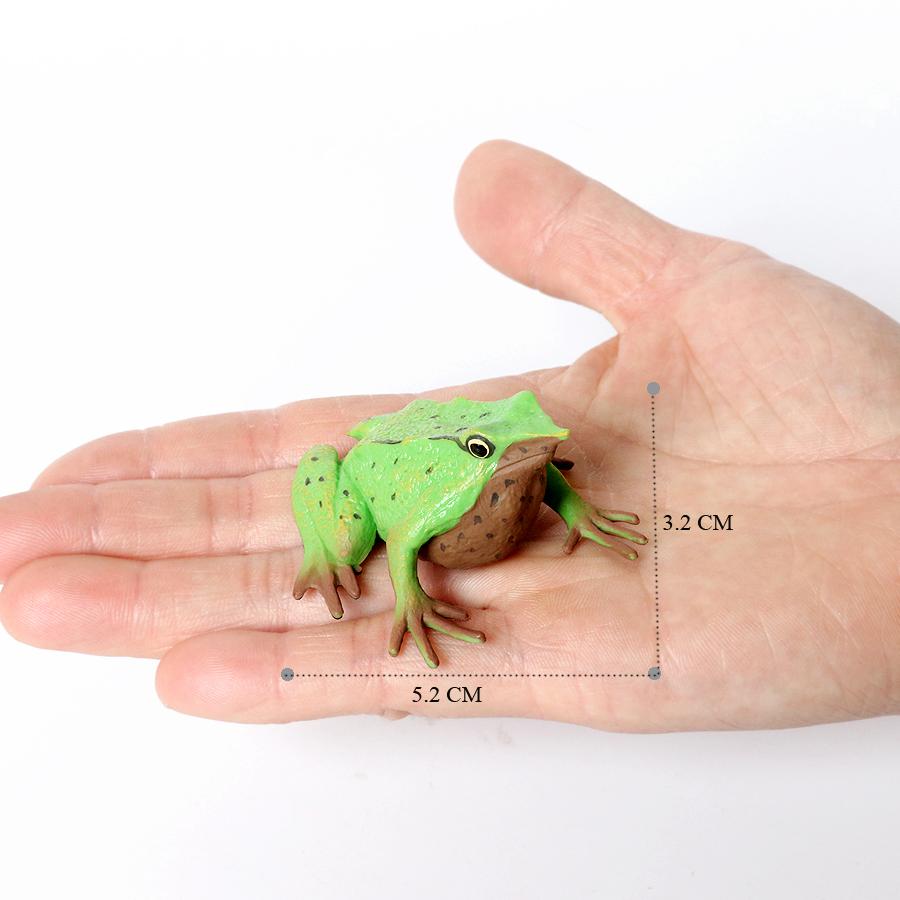 Insect Toy Miniature Insects Figures Animal Figurines Beetle Bee Spider Models Action Figure Plastic Animals Toys for Children