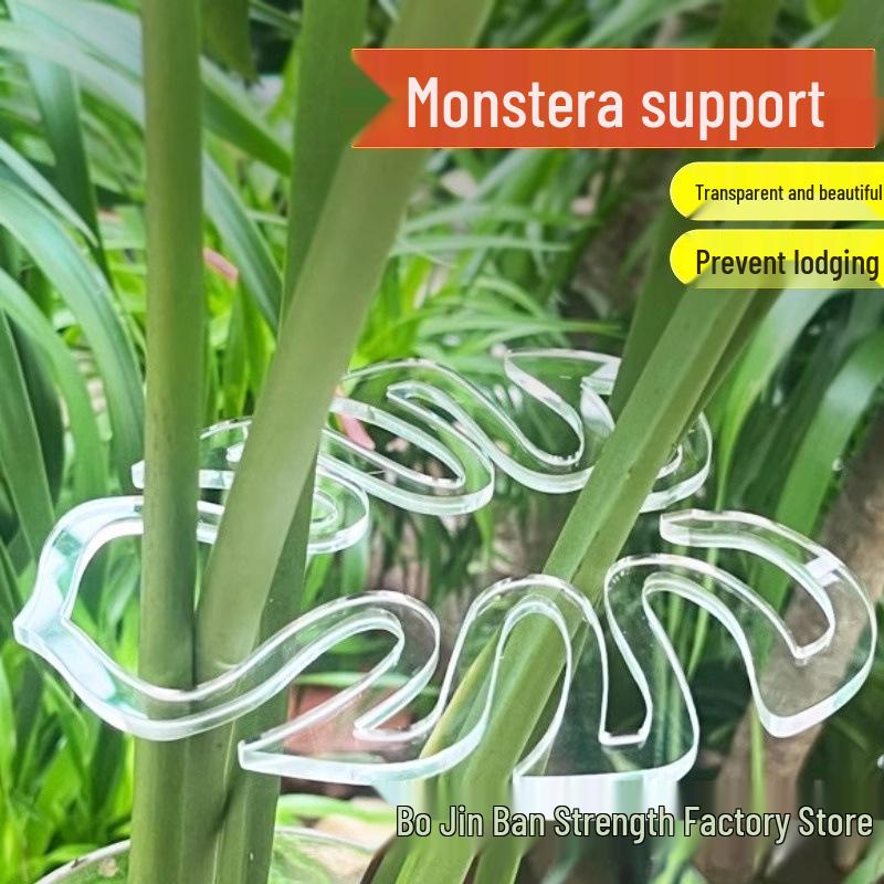 Transparent Flower Stem Support and Gatherer for Potted Plants and Monstera
