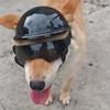 Comfortable Dog Sports Helmet Goggles Set with Shock Absorption Easy to Wear Design for Pet Outdoor Mountain Climbing