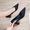 Women's Black Thick Heel Pointed Toe Professional Work Shoes for Spring and Autumn