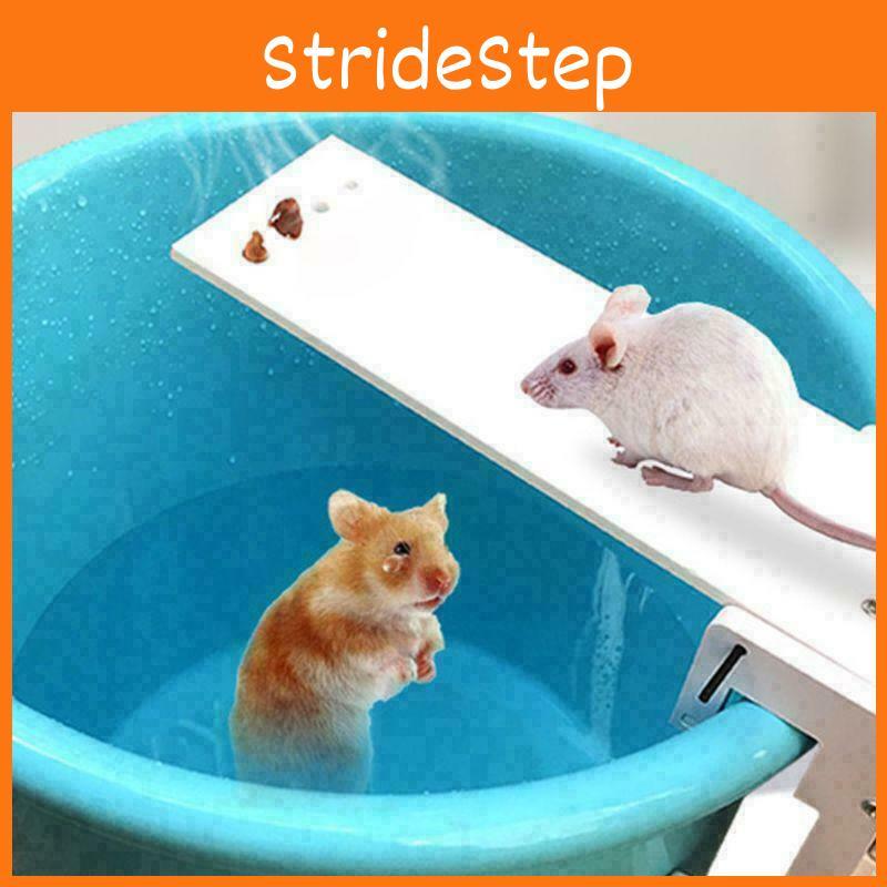 Mouse Trap Catch Rat Trap Catch Walk The Plank Humane Bucket Mice Auto New Reset