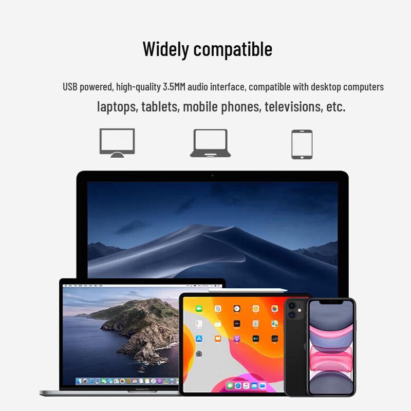 Philips SPA20 Desktop Multimedia USB Speaker