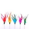 Feather  Cat Toys Feather Funny Cat Shape False Products Bottom Sucker Elastic