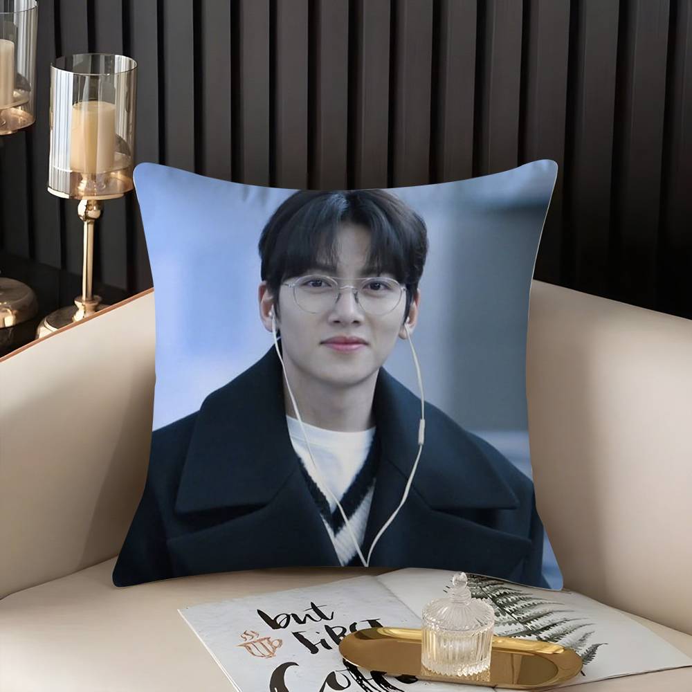 J-Ji C-Chang Wook Наволочка для дома, общежития, спинки стула, короткий плюш, двусторонняя печать, подушка для офиса, время для сна
