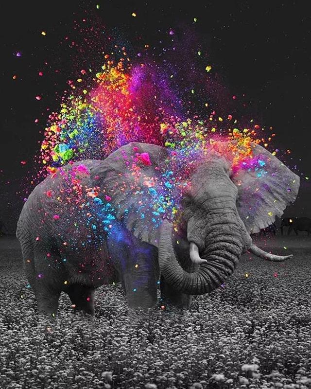 5D Алмазная вышивка Слон Полный квадратный круглый вышивка крестиком Алмазная картина Животное Мозаика Рукоделие Украшение дома