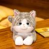 Реалистичный плюшевый кот, набитый, Супер подушка для тела с утяжеленным животом, Успокаивающая, Тело, Смешной рождественский подарок, Животное, Милый, Пушистый, Бусины, Подушка, Подарок,