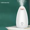 K·SKIN Nano Ionic Facial Steamer