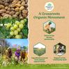 Organic India Triphala 60 Veg Capsules Pack of 3 Digestive Health Colon Support Immune Booster