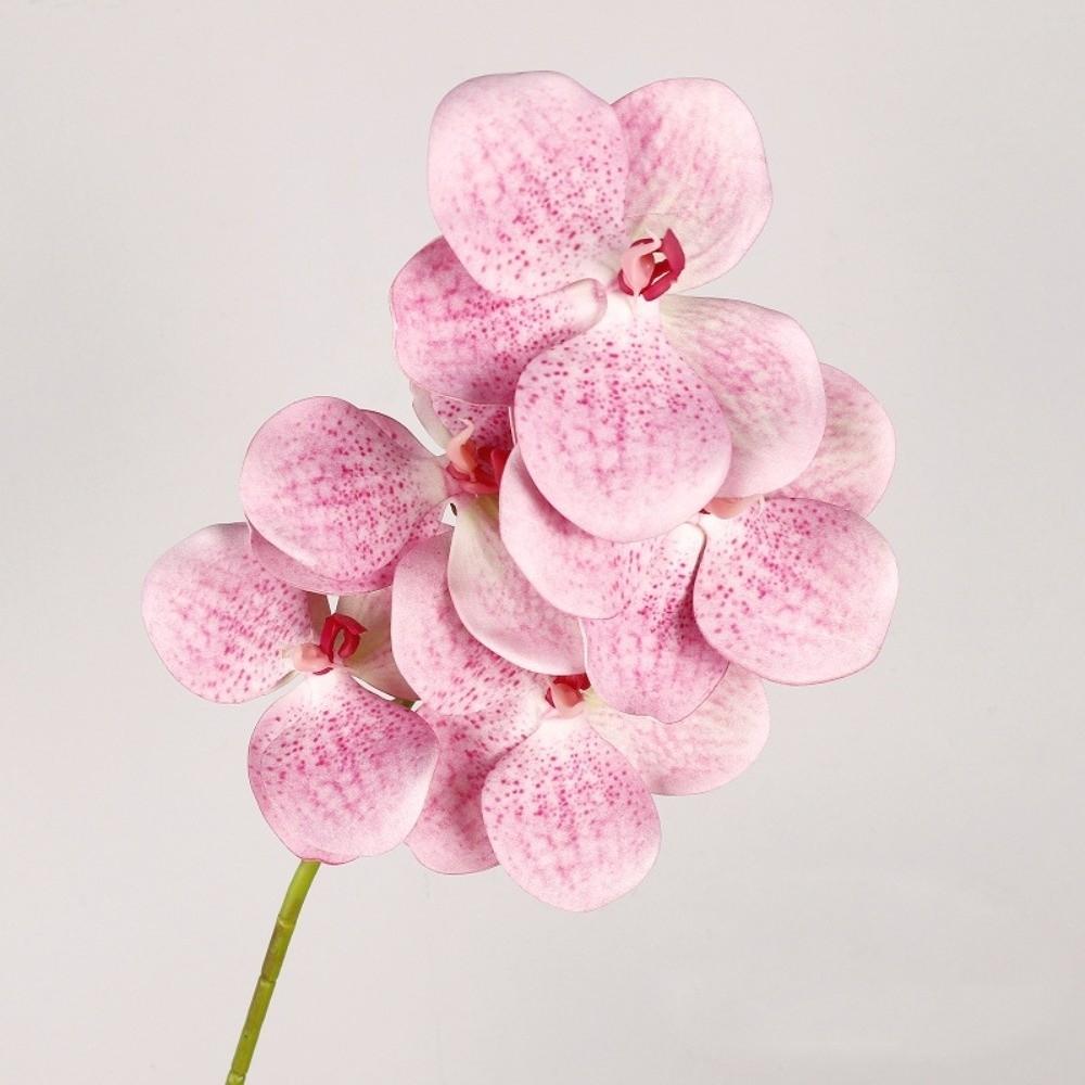 Real Touch Artificial Vanda Orchid Flower Handmade Faux Phalaenopsis  Wedding Party Favors