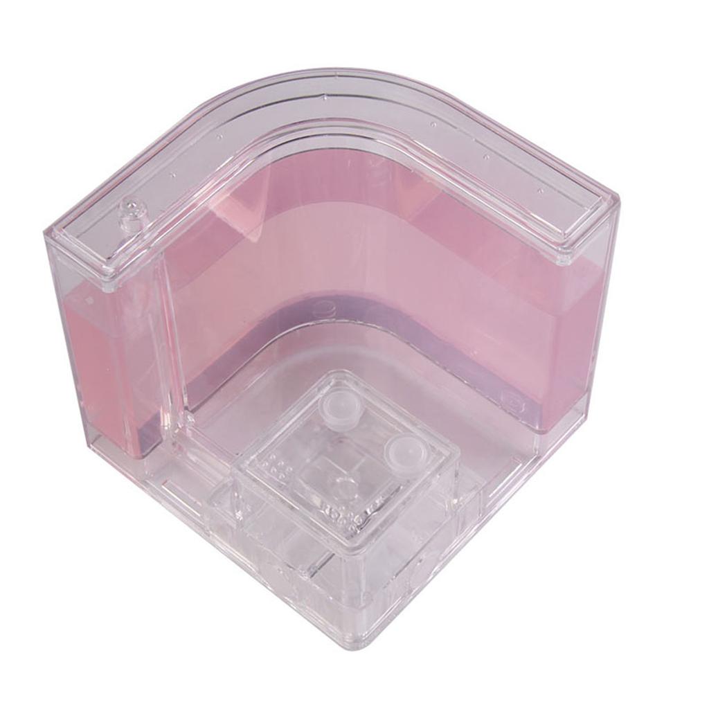 3D Муравьиная ферма Образовательный лабиринт Образовательный и обучающий научный набор Игрушка для изучения Архитектуры Экосистемы