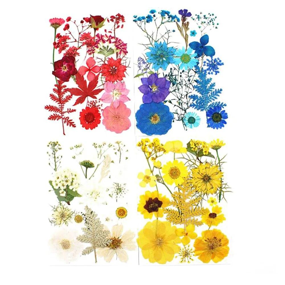 15pcs Dried Flower Natural Flower Stickers Dry Beauty Decal For DIY Plants Art Craft Floral Decors Making Accessories