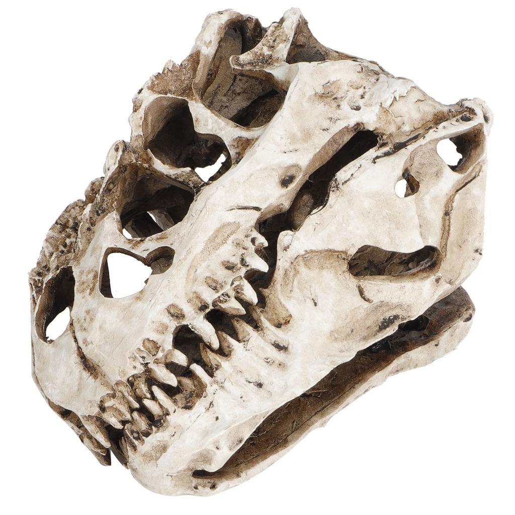 Смола Череп Динозавра Личность Скелет Животного Украшения Реквизит Хэллоуин Коллекция Ремесло Декор