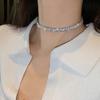Charming Choker Collar Luxury Accessory Simple