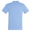 SOLS Mens Regent Short Sleeve T-Shirt