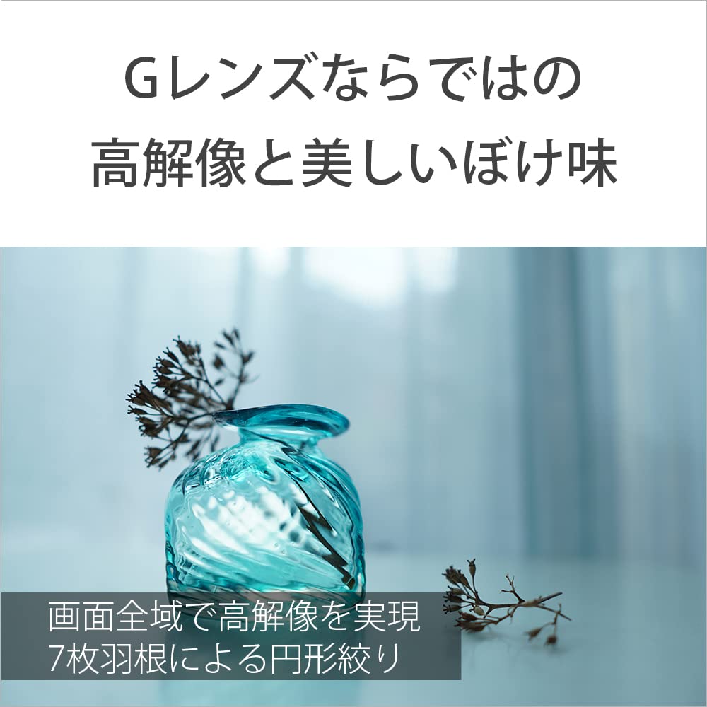 SONY SEL15F14G Prime E 15mm G Lens for Digital SLR Cameras Wide-Angle Lens, APS-C F1.4 [E-Mount]