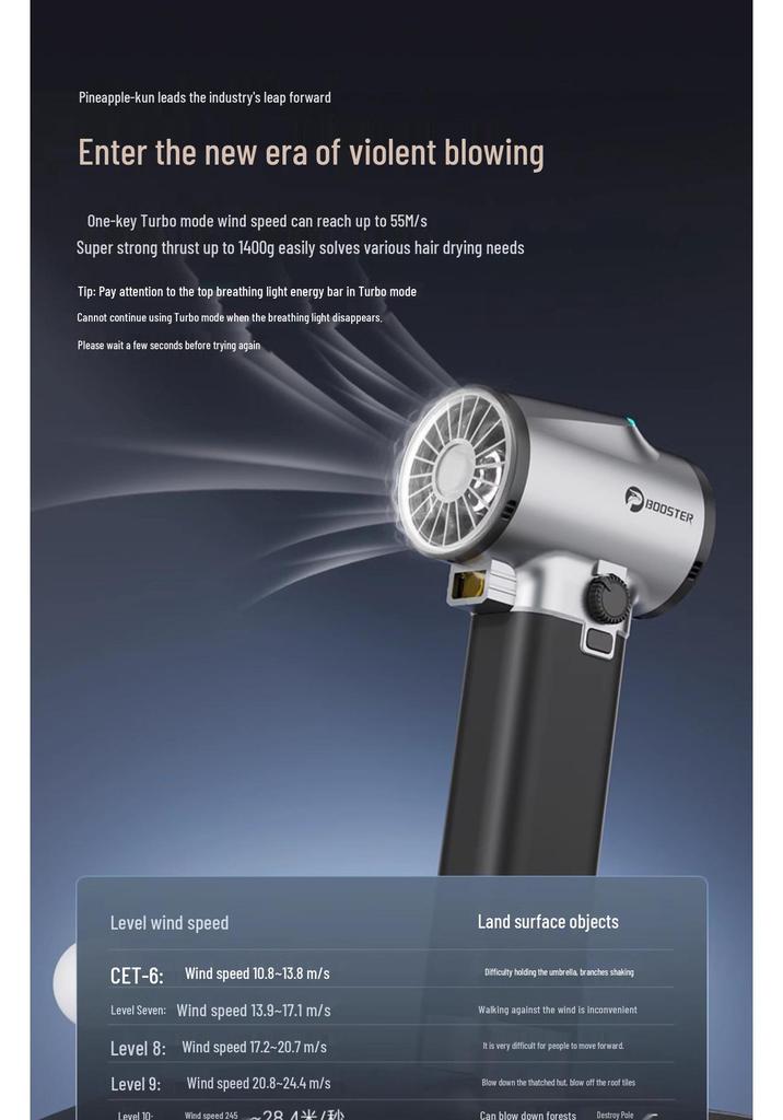 Germany 2026 MH Pineapple-kun High-Speed Handheld Turbo Hair Dryer 64mm