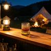 Rotierendes Whiskeyglas 360 Grad drehbar Bleifreier Tumbler für Bourbon 260ml Wirbel Whiskeyglas Einzigartiges Geschenk für Männer