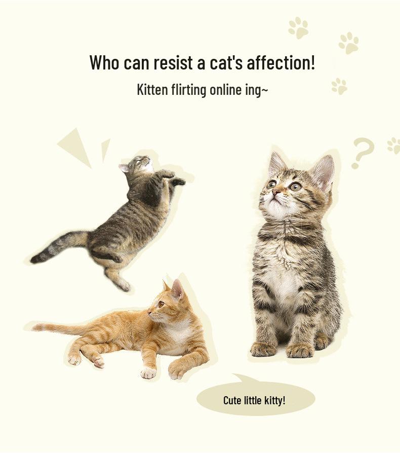 Прозрачный милый зонт-кошка - Стильный полуавтоматический с длинной ручкой для женщин