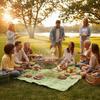 Folding Barbecue Cooker Foldable Portable Solid-Fuel Versatile