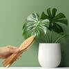 1/2/3Pcs Leaf Cleaning Tong with Wood Handle Indoor Outdoor Houseplant Plant Leaves Dust Removal Brush Handheld Plant Cleaning Tool