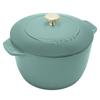 Staub Cocotte de GOHAN Eucalyptus L Rice Rice 3 Чугунная эмалированная рисовая кастрюля IH совместимая с японским продуктом с серийным номером La Cocotte de GOHAN "La 20cm" Pot,