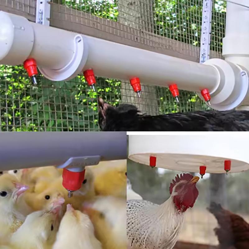 5 шт. Ниппельные поилки для кур, перепелов, голубей, птиц, автоматические поилки пружинного типа, оборудование для птицеводства