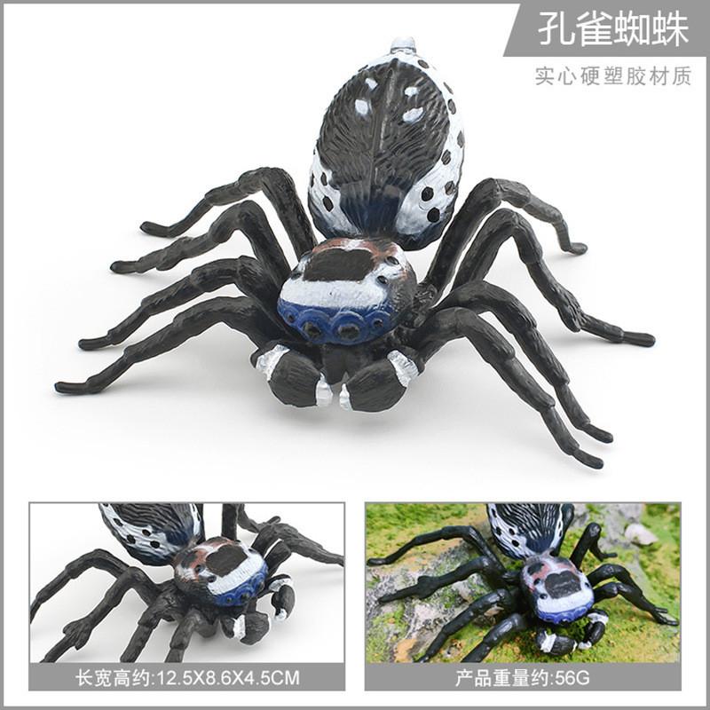 Stunningly Detailed Plastic Insect Models Including Vibrant Peacock Spiders And Striped Fly Spiders Perfect For Learning And Displaying
