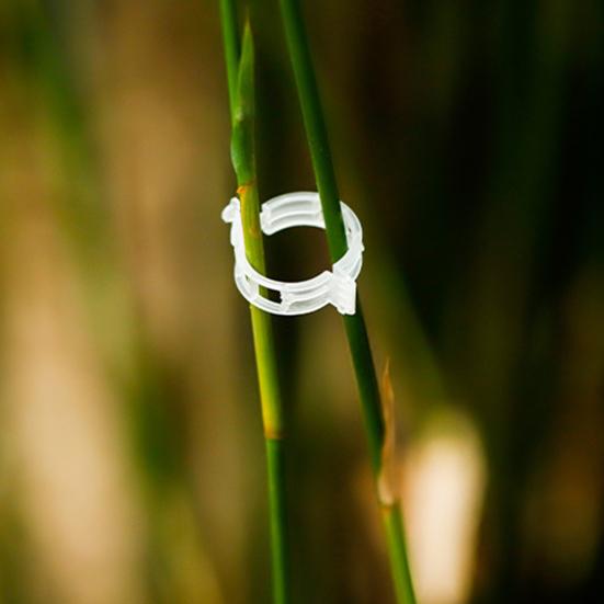 50 шт., без вреда для растений, зажим для виноградной лозы, практичный садовый подвесной держатель для ветвей растений, экономящий трудозатраты