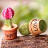 Bonsai Lifelike Eye-catching Miniature DIY Fairy Succulents Decorations for Garden