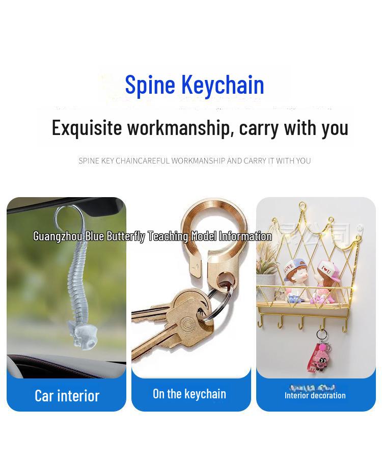 Миниатюрный брелок в виде человеческого позвоночника - модель скелета поясничных позвонков