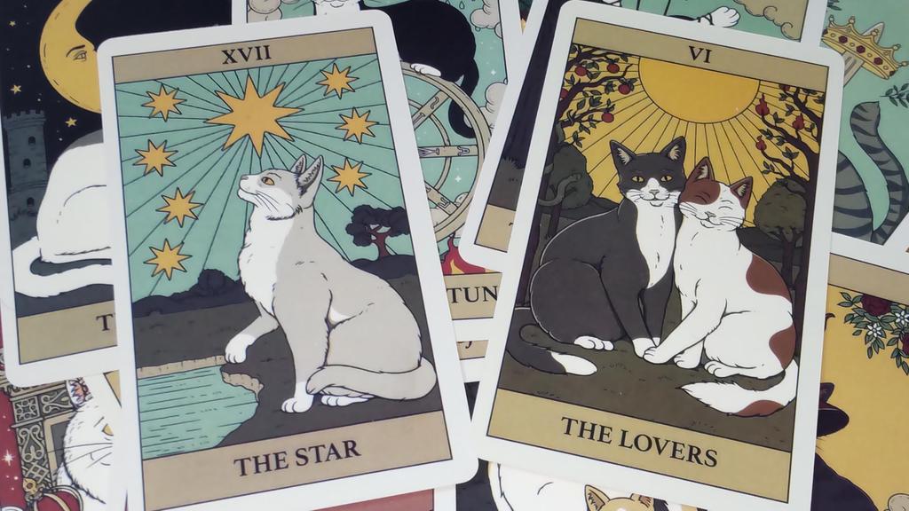 78 Иллюстраций Кошек Карты Таро Гадание [AZAASU]