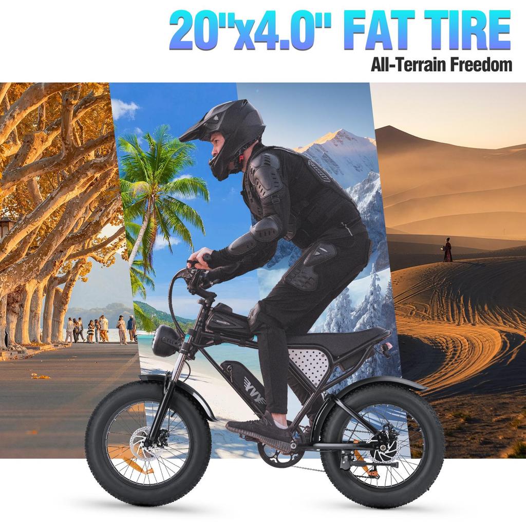 Electric Bike YVY 20"Fat 1000W Motor 48V 15AH City Ebike Max  Range 80Km Load 150Kg Black C20 Lite