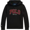 Polo Ralph Lauren Однотонные детские толстовки с капюшоном и длинным рукавом с вышивкой в виде пони 323981622-001
