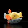 Cute Pigmy Boxfish Fish Plush Dolls Simulation Marine Animals Fish  Plush Educational Toys