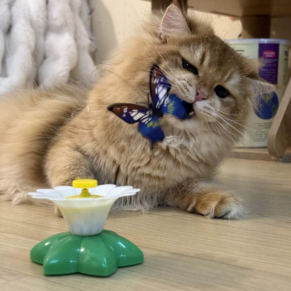 Automatic Rotating Electric Cat Toy Colorful Butterfly Bird Animal Shape Plastic Funny Kitten Pet Dog Interactive Training Toys