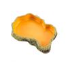 Resin Reptile Feeder Climbable Amphibian Feeding Bowl Tortoise Water Dish  Tortoise