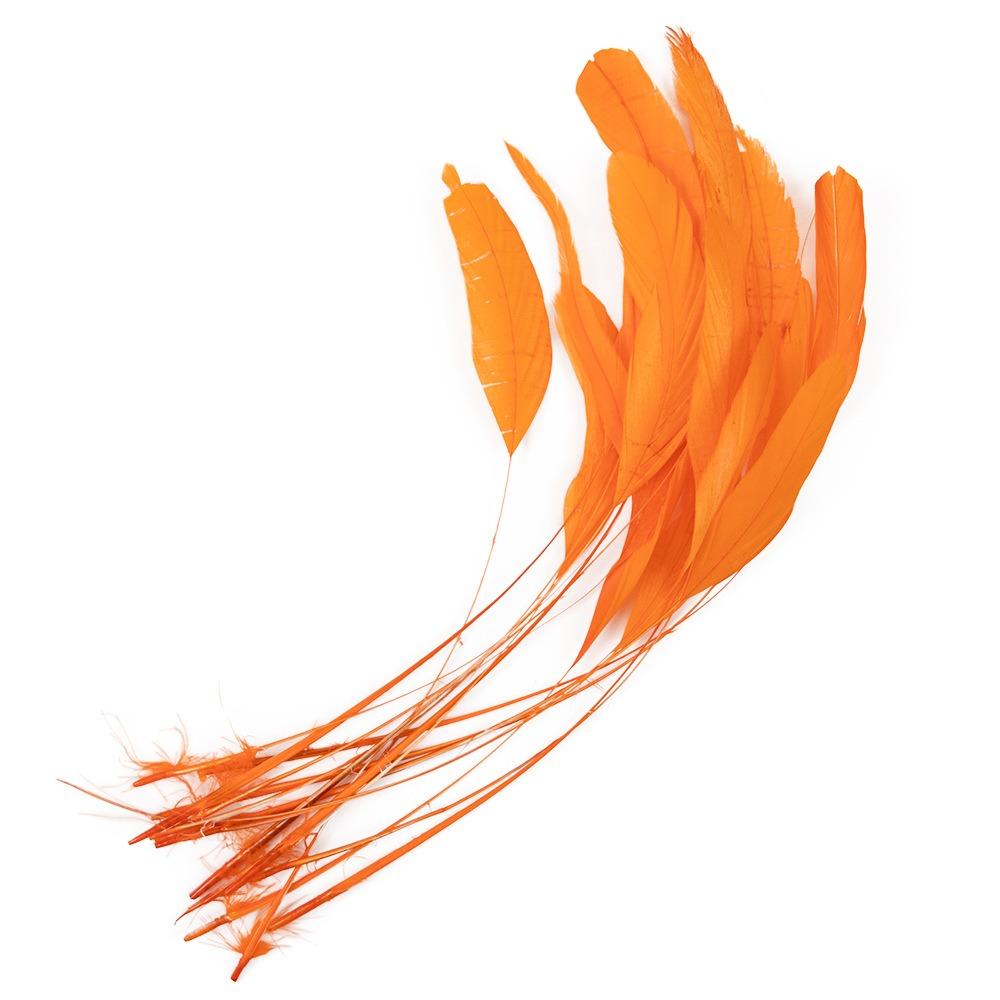 10Pcs Multicolor Rooster Feather Natural Feather Clothing Accessories Feathers Headwear Accessories