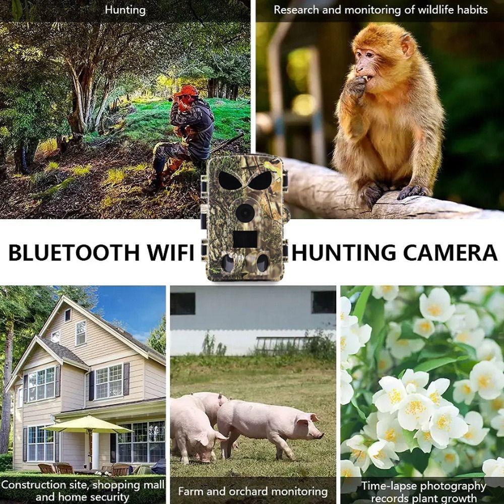 No Glow Night Vision PR8000 Wifi Camera 8K 120° Motion Wildlife Photo Pasture