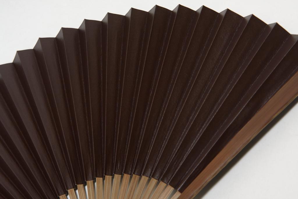 Сумка для вентилятора Shibu Kyoto Craftsman Handmade, деревянная коробка [Hasegawa] Вентилятор Kyoto, веер, в комплекте, (коричневый)