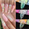 12 Grid Holographic Nail Flake Fluorescent Nail Glitter Powder Butterfly Chameleon Irregular Laser Gradient Foil Decoration